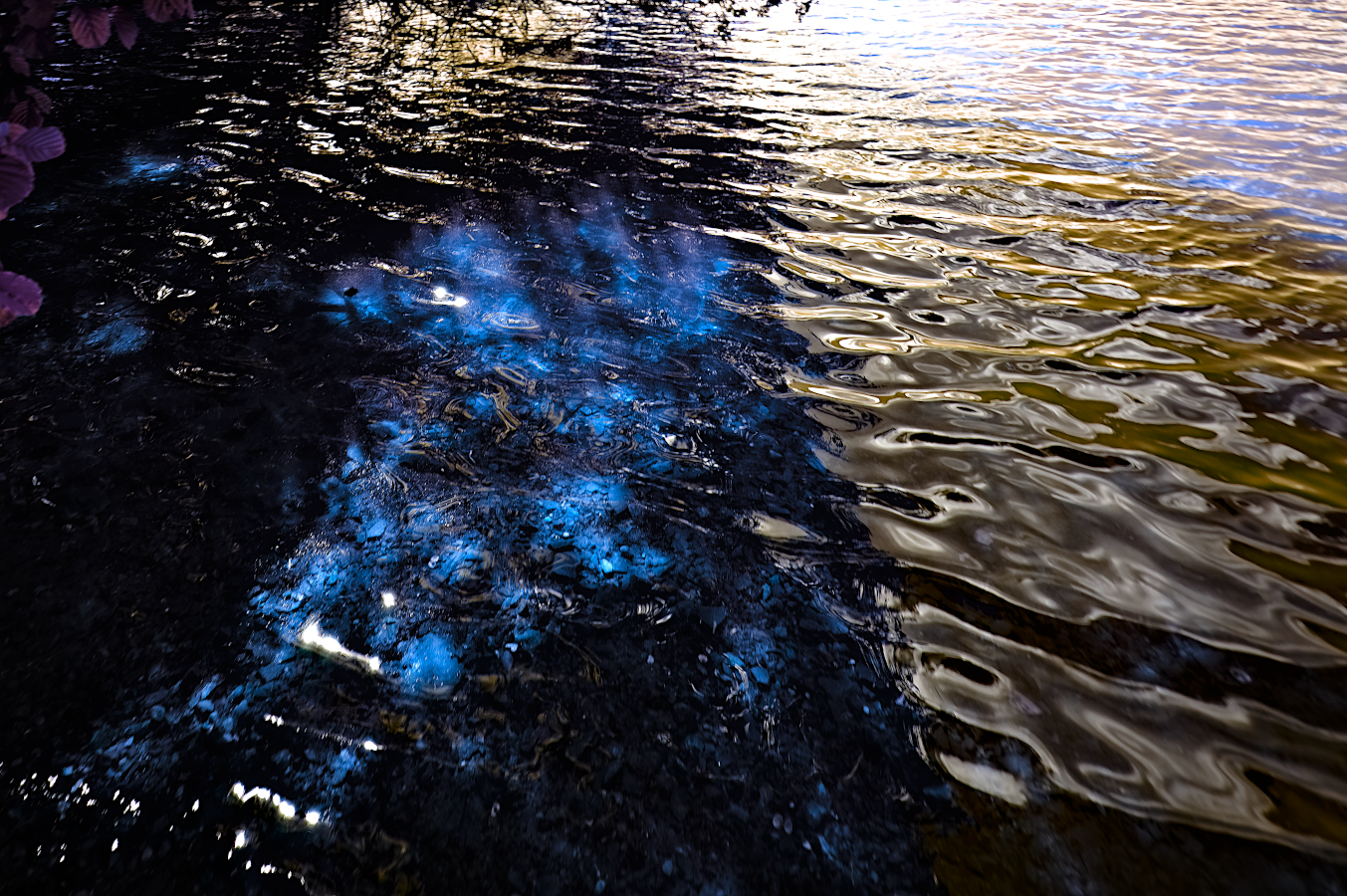 _DSC6371-NEF_DxO_DeepPRIMEpsychélowdef.jpg