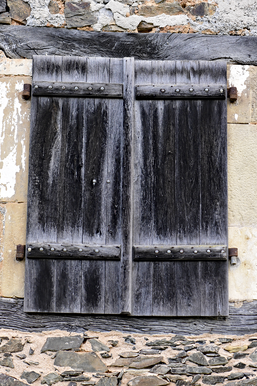 _DSC9993_voletbois.png