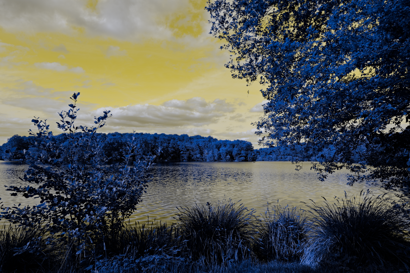 lelac_lieubaignade_DSC_6701-NEF_DxO_DeepPRIME.png