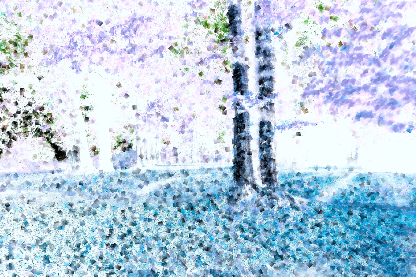 15 web_deuxarbreHD_resultatv2_RT16bGimppsyche_cub_invert.png