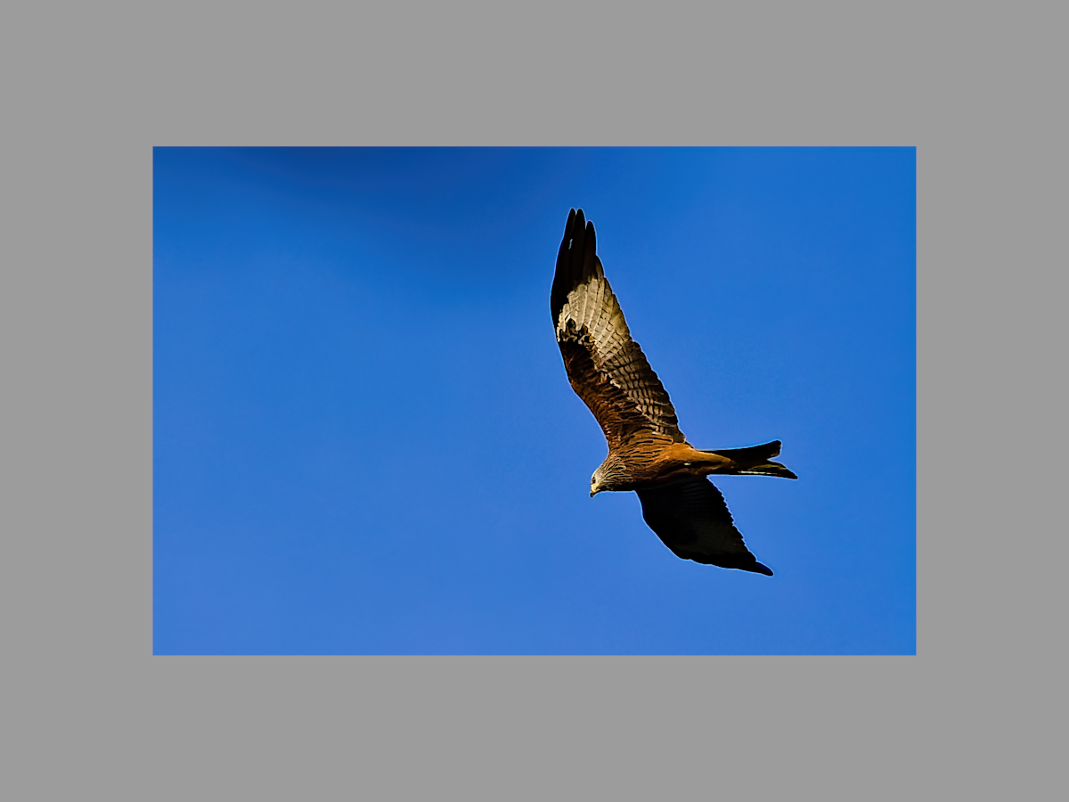 web_milan_DSC0176.png