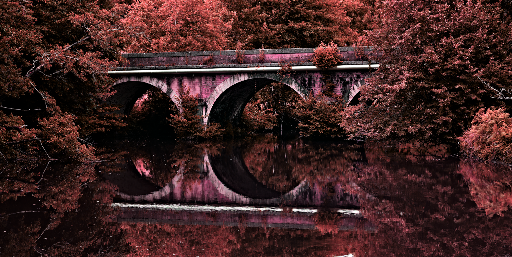 web_pontdesforges_pano_psyche_DSC5857-NEF_DxO_HQ.png