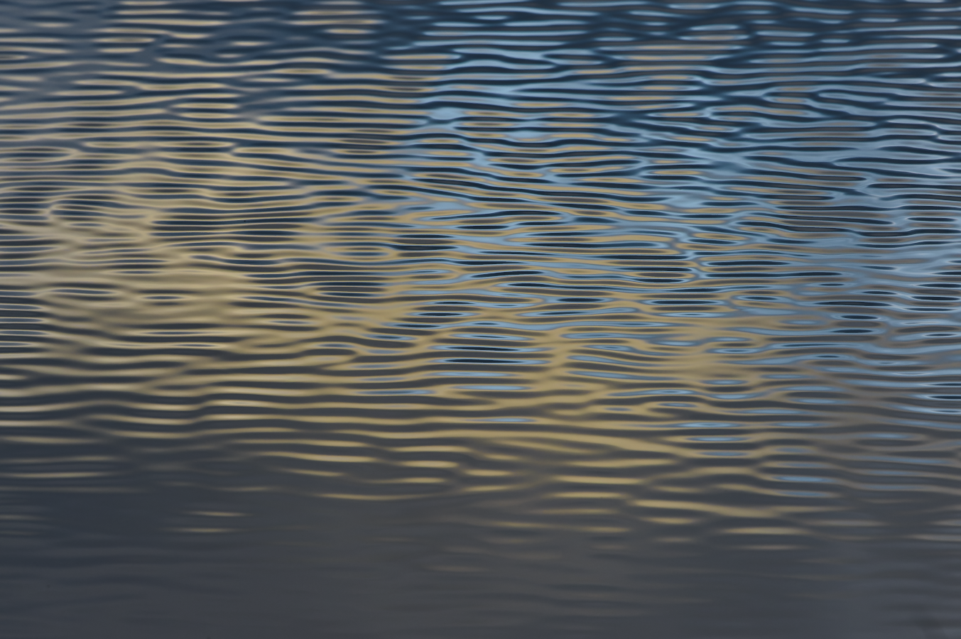 Semblable et toujours différent, essence de la Vie... web_reflet2_DSC3604-NEF_DxO_DeepPRIMEGimp_resat.png