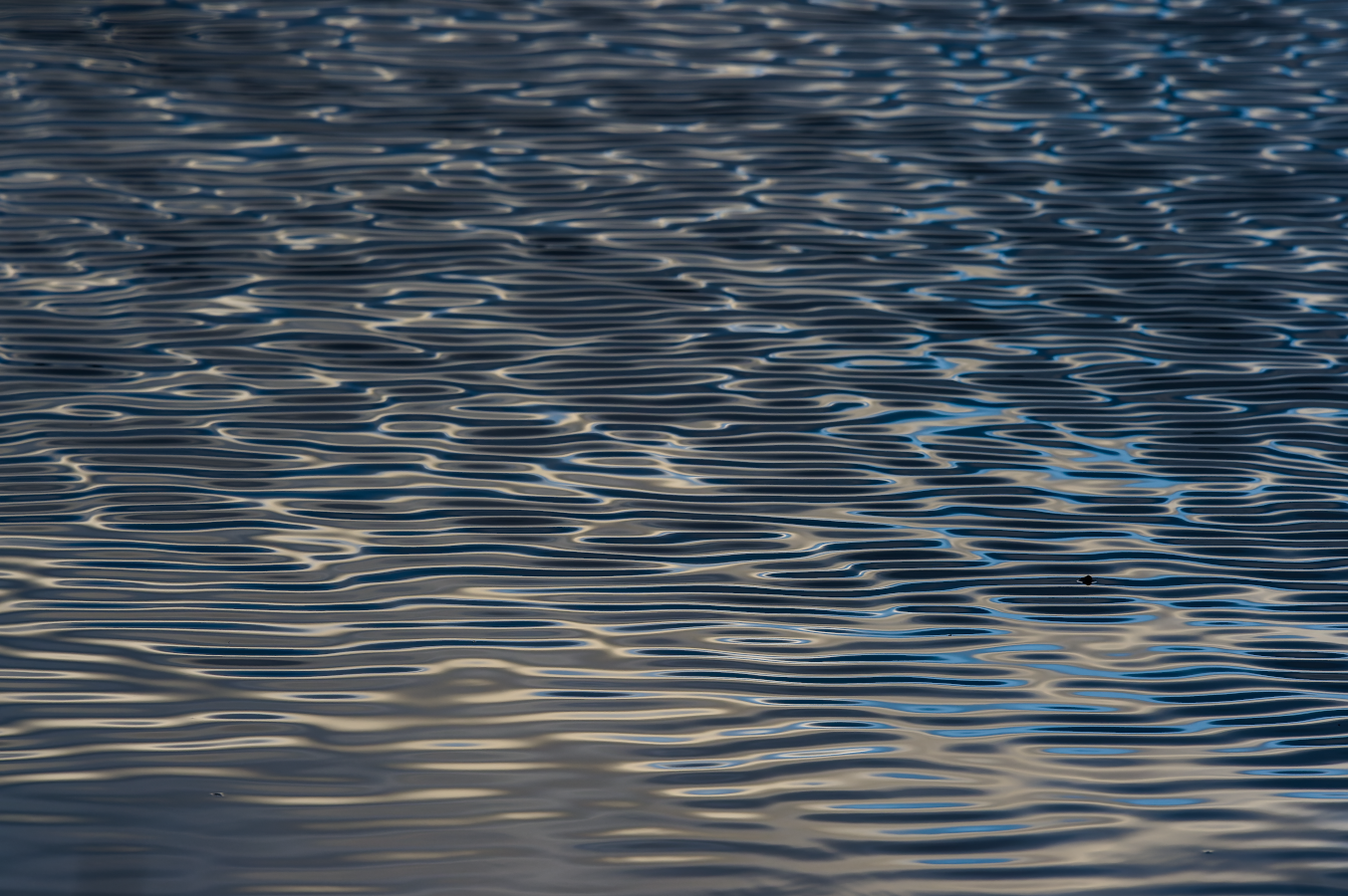 Variation... web_reflet3_DSC3597-NEF_DxO_DeepPRIME.png