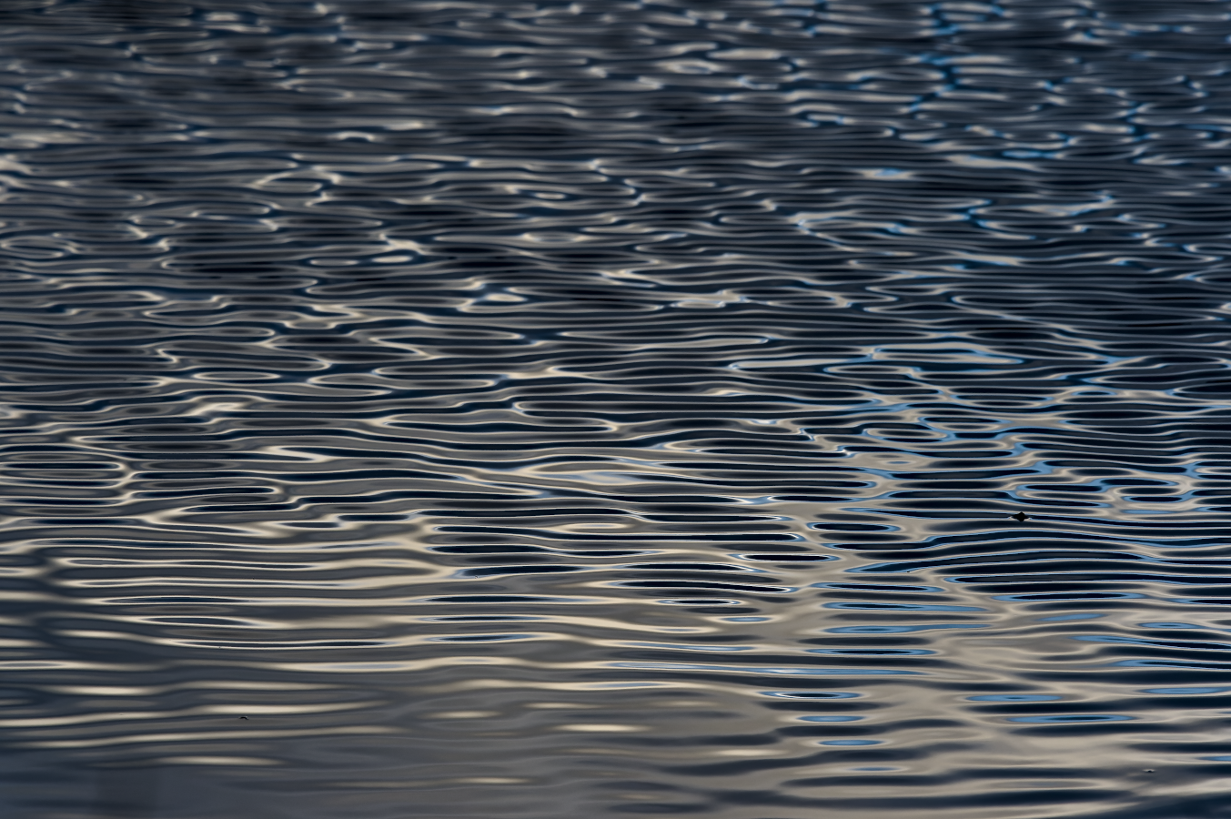 Une vague réflexion... web_reflet4_DSC3599-NEF_DxO_DeepPRIME.png