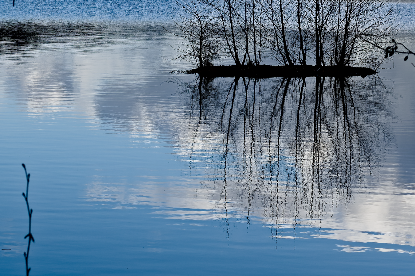 îl-eau-t web_reflet_ile_arbustes_DSC5911-NEF_DxO_DeepPRIME.png