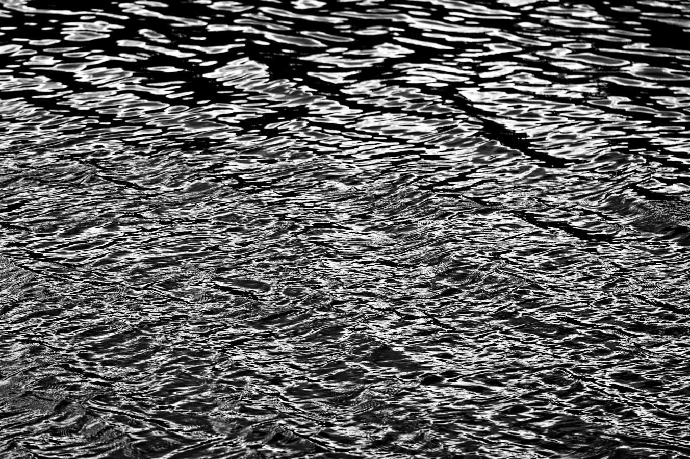 web_reflets_NB_lelac__DSC5423-NEF_DxO_DeepPRIME.png
