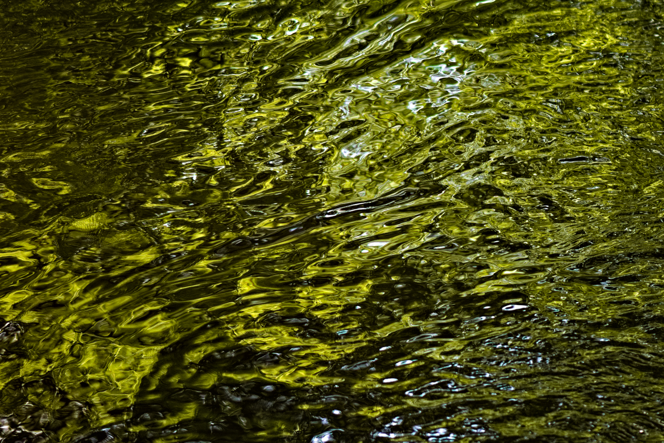 Reflets sur le lac de Miallet, 2022 web_reflets_verts_lacDSC_0010.jpg