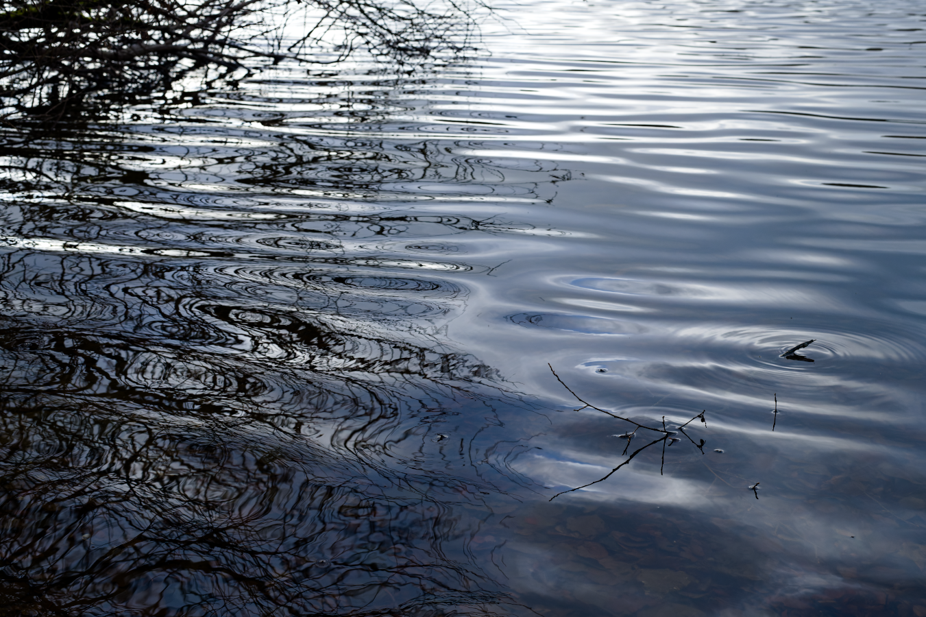 Reflets vaguement sombres web_refletsombres_DSC5923-NEF_DxO_DeepPRIME.png