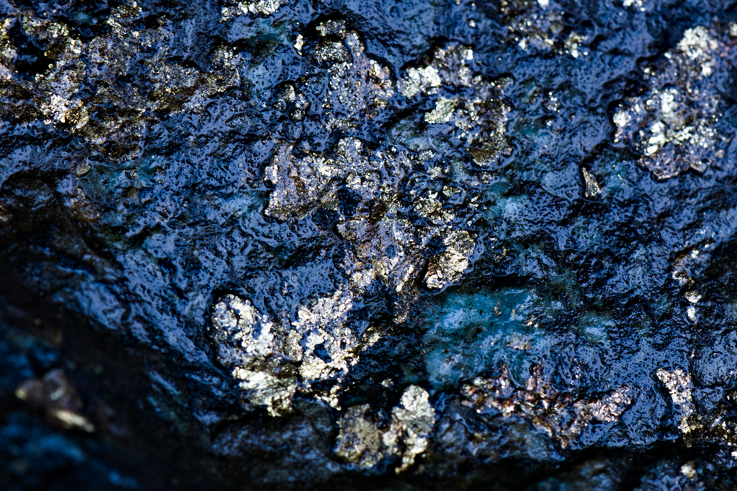 webroche_DSC9981-NEF_DxO_PRIME.png